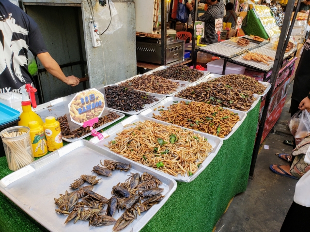 昆虫食は世界の深刻な食糧不足を解決するかもしれない 実際 美味しいの メリット デメリットは 食と身体を考える